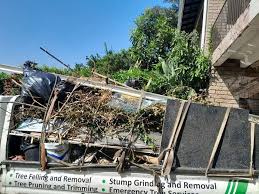 Best Hoarding Cleanup  in Eugene, OR